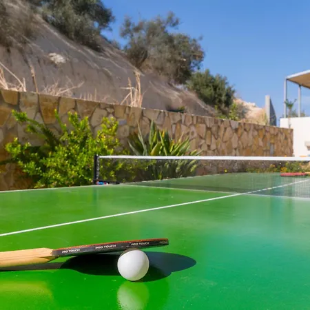 Villa Olive Chrysi Luxury With In-room Plunge Pool Chania (Crete)