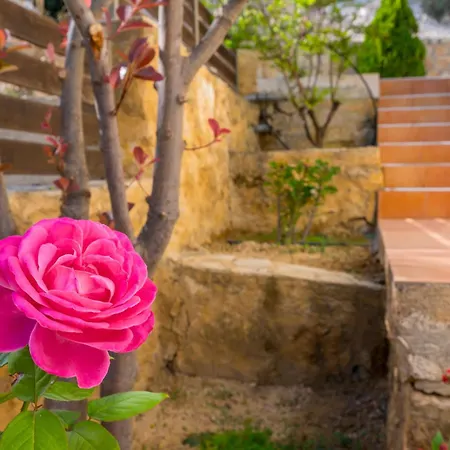 Villa Olive Chrysi Luxury With In-room Plunge Pool Chania (Crete)